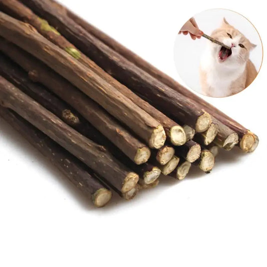 100Pcs/Lot Natural Matatabi Pet Cat Snacks Sticks Cleaning Tooth Catnip Cat Toys Actinidia Silvervine Pet Toy for Cats