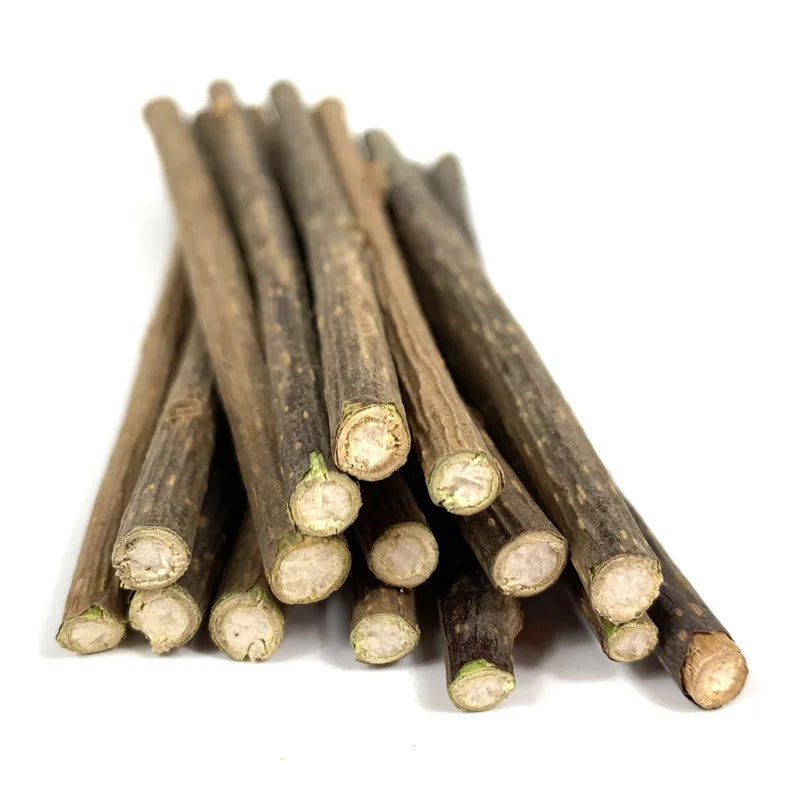 100Pcs/Lot Natural Matatabi Pet Cat Snacks Sticks Cleaning Tooth Catnip Cat Toys Actinidia Silvervine Pet Toy for Cats