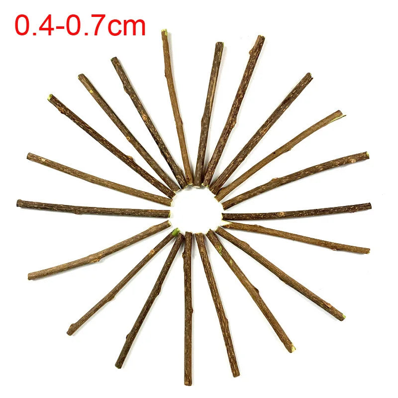 100Pcs/Lot Natural Matatabi Pet Cat Snacks Sticks Cleaning Tooth Catnip Cat Toys Actinidia Silvervine Pet Toy for Cats